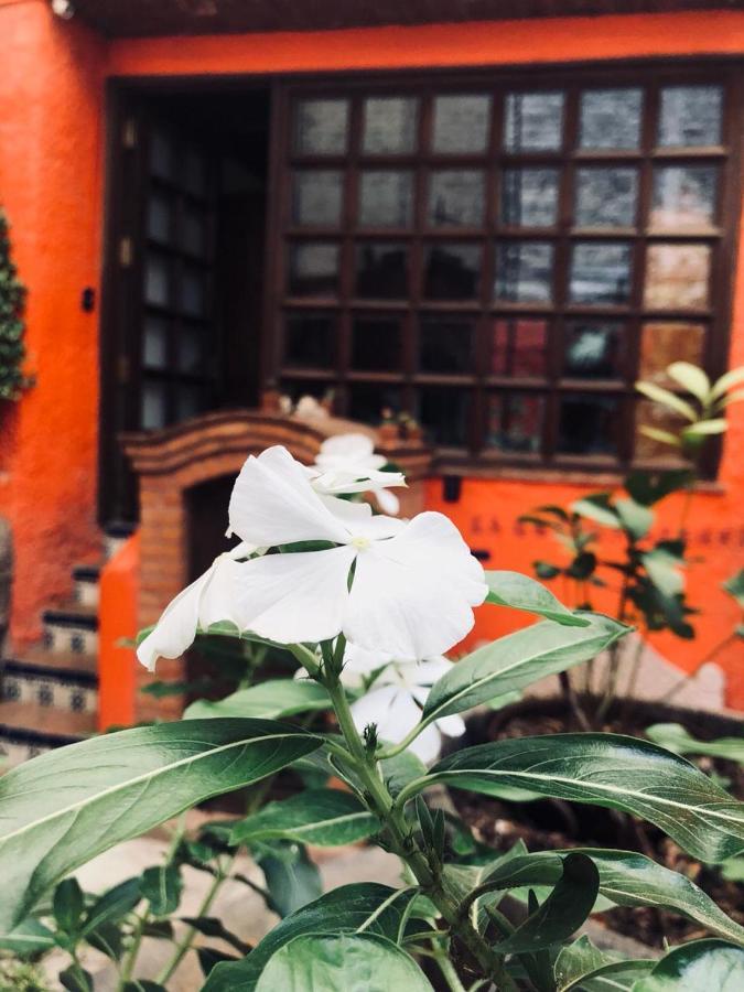 Casa Azul Ξενοδοχείο Γκουαναχουάτο Εξωτερικό φωτογραφία